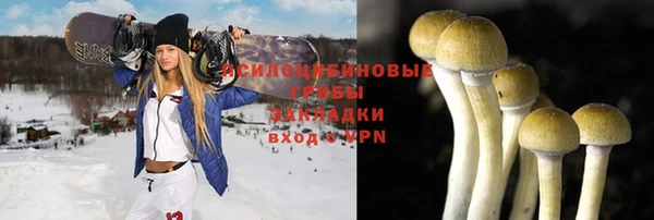 скорость Тавда