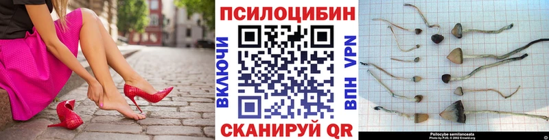 Купить закладки  Набережные Челны  Галлюциногенные грибы мухоморы 